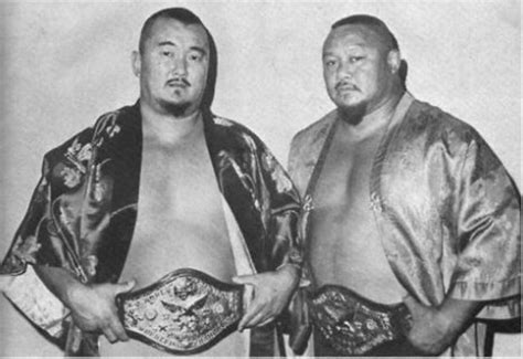 fuji and tanaka 1971